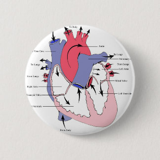 Badge Rond 5 Cm Le schéma 2. coeur Function.jpg de normale