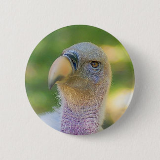 Badge Rond 5 Cm Le vautour Griffon de Rupell