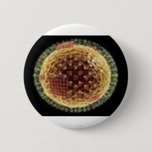 BADGE ROND 5 CM LE VIRUS 2009
