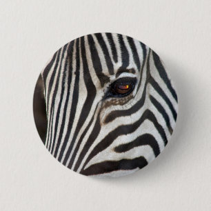 Badge Rond 5 Cm Le zèbre de Chapman