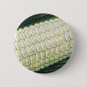 Badge Rond 5 Cm Légumes vintages de la nourriture Maïs blanc sur l