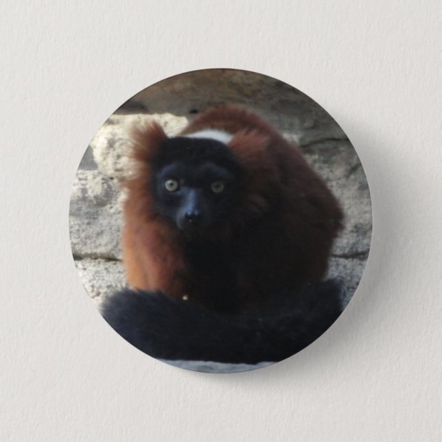 Badge Rond 5 Cm Lémur rouge de Ruffed (Devant)