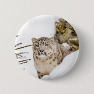 Badge Rond 5 Cm Léopard de neige dans la neige