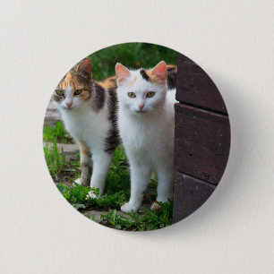 Badge Rond 5 Cm Les chats jouent