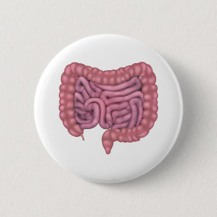 Badge Rond 5 Cm Les intestins étripent l'appareil digestif humain