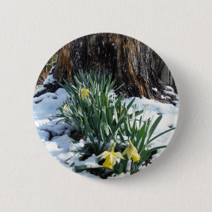 Badge Rond 5 Cm Les jonquilles jaunes dans la neige