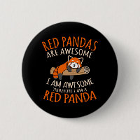 Les Pandas Rouges Sont Des Animaux De Compagnie Am