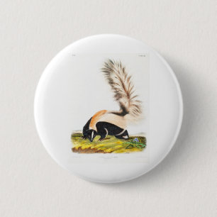 Badge Rond 5 Cm les quadrupèdes vivipares par John James Audubon