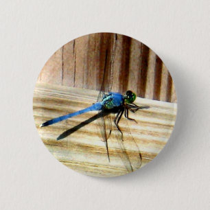 Badge Rond 5 Cm Libellule