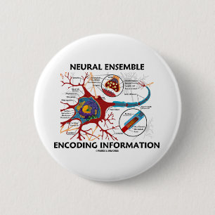 Badge Rond 5 Cm L'information neurale de codage d'ensemble