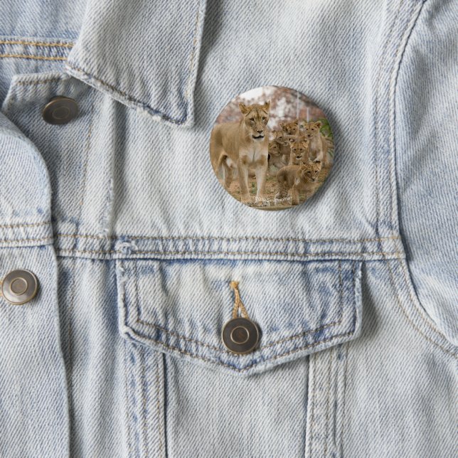 Badge Rond 5 Cm Lion CUB africain avec la mère (En situation)