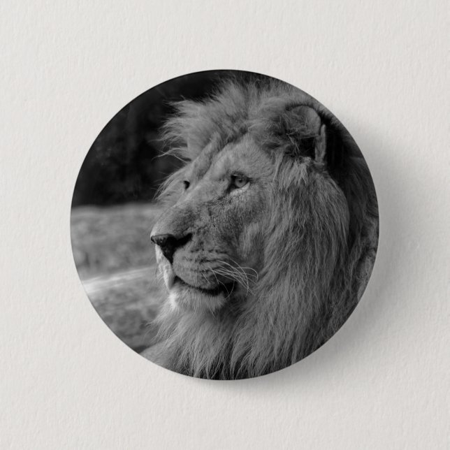 Badge Rond 5 Cm Lion noir et blanc - Animal sauvage (Devant)