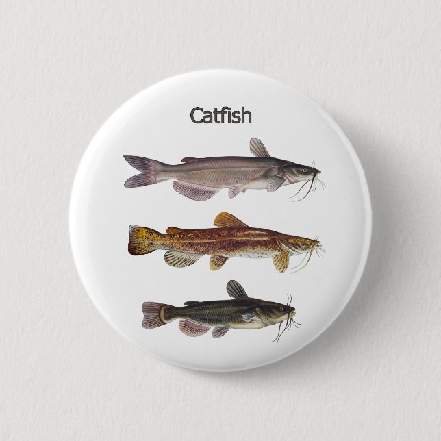 Badge Rond 5 Cm Logo nord-américain de poisson-chat (Devant)