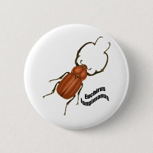 Badge Rond 5 Cm Longimanis d'Euchirus