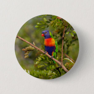 Badge Rond 5 Cm Lorikee arc-en-ciel