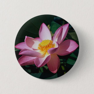 Badge Rond 5 Cm Lotus rose