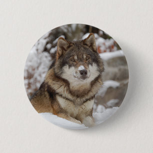 Badge Rond 5 Cm Loup d'hiver