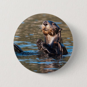 Badge Rond 5 Cm Loupe de mer ensoleillée