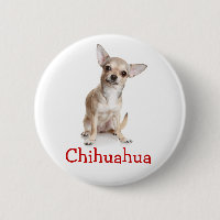Love Chihuahua Chiot Puppy Dog Pin