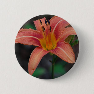 Badge Rond 5 Cm Lovely Tawny Daylily Vêtements et cadeaux