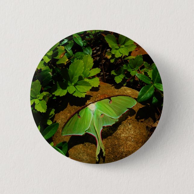 Badge Rond 5 Cm Luna verte géante (Devant)