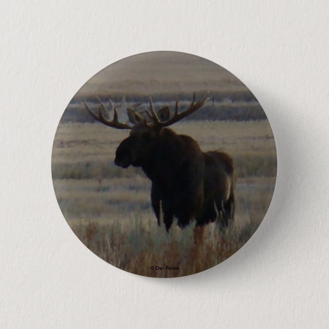 Badge Rond 5 Cm M1 Bull Moose (Devant)
