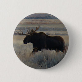 Badge Rond 5 Cm M2 Bull Moose