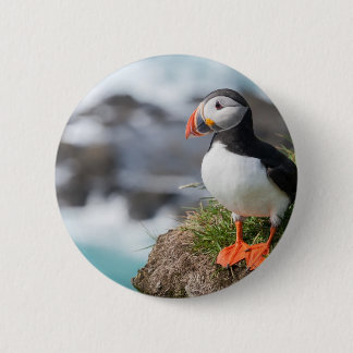 Badge Rond 5 Cm Macareux