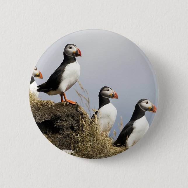 Badge Rond 5 Cm Macareux (Devant)