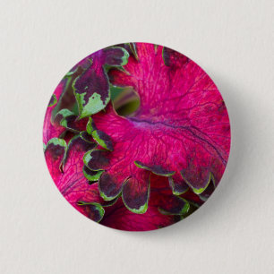 Badge Rond 5 Cm Macro Coleus