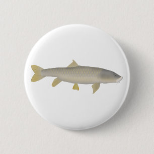Badge Rond 5 Cm Mahseer doré