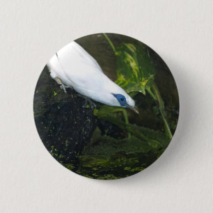 Badge Rond 5 Cm Mainate de Bali