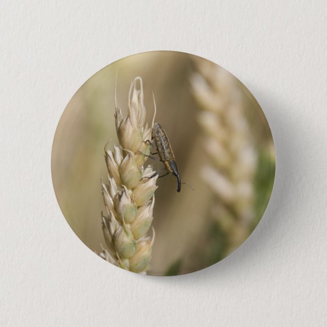 Badge Rond 5 Cm Mal (Devant)