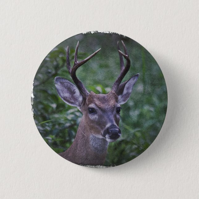 Badge Rond 5 Cm Mâle de la Floride Whitetailed (Devant)