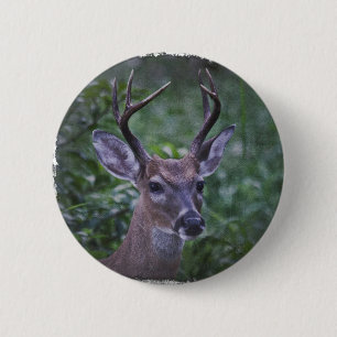 Badge Rond 5 Cm Mâle de la Floride Whitetailed