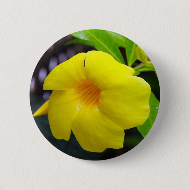 Badge Rond 5 Cm Mandevilla jaune (Devant)