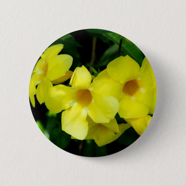 Badge Rond 5 Cm Mandevilla.JPG (Devant)
