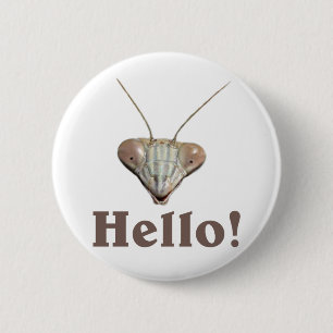 Badge Rond 5 Cm Mante de prière bonjour