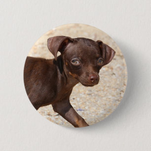 Badge Rond 5 Cm Marche de chiot de chiwawa
