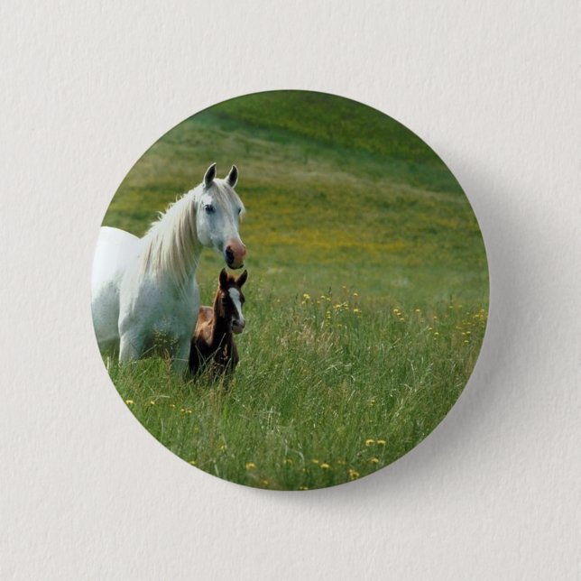 Badge Rond 5 Cm Mare et poulain dans l'herbe haute (Devant)
