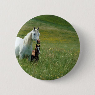 Badge Rond 5 Cm Mare et poulain dans l'herbe haute
