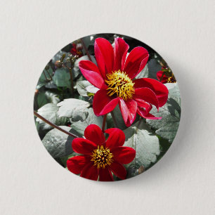 Badge Rond 5 Cm marguerite rose chaud rouge / marguerites fleurs