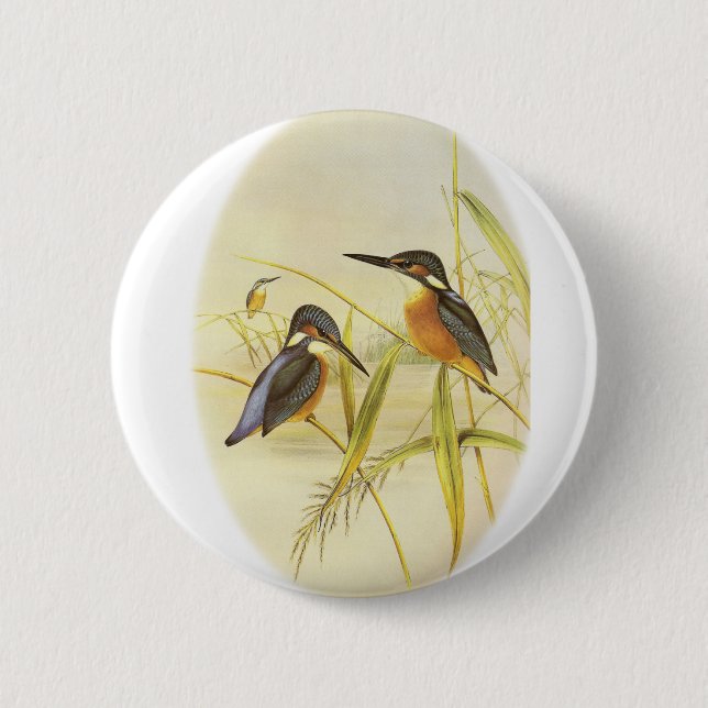 Badge Rond 5 Cm Martin-pêcheur commun (Devant)
