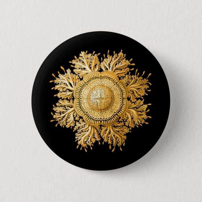 Badge Rond 5 Cm Méduses (Devant)