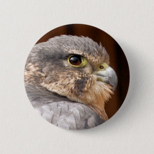 BADGE ROND 5 CM MERLIN FALCON OISEAU DE PREY