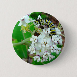 Badge Rond 5 Cm Milkweed et monarque