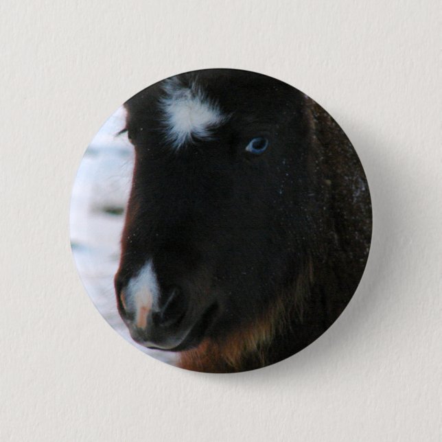 Badge Rond 5 Cm Mini Horse adorable Filly (Devant)