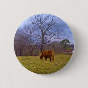 Badge Rond 5 Cm Miniature brun cheval bleu ciel