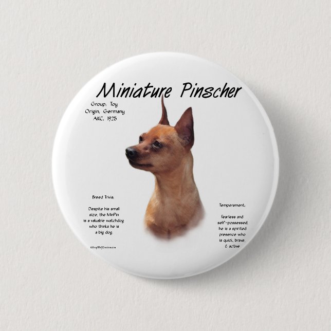 Badge Rond 5 Cm Miniature Pinscher (rouge) (Devant)