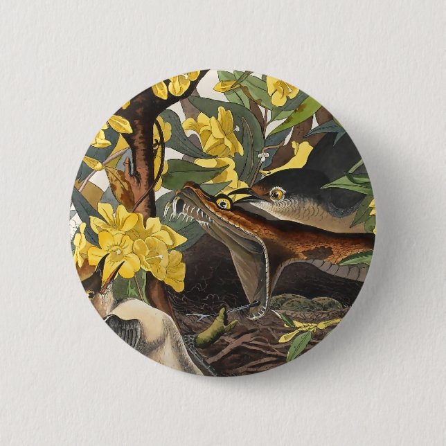 Badge Rond 5 Cm Mockingbirds, John James Audubon (Devant)